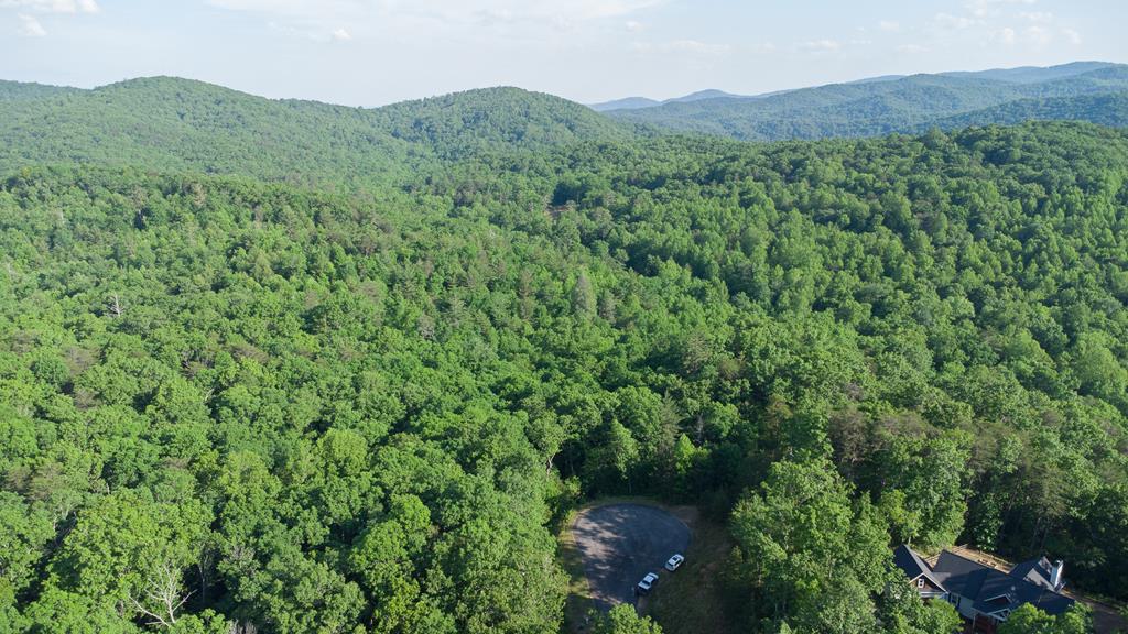 LOT 9 ROBERT DRIVE, ELLIJAY GA 30536