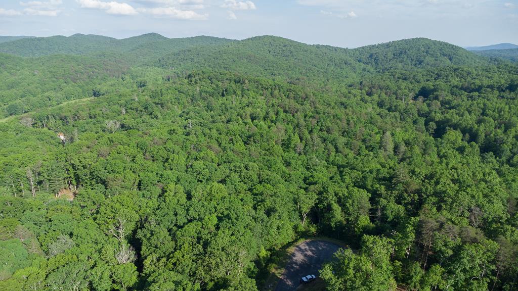 LOT 9 ROBERT DRIVE, ELLIJAY GA 30536