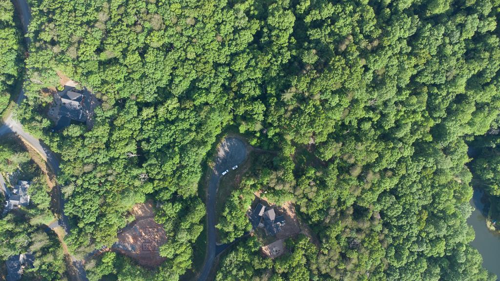 LOT 9 ROBERT DRIVE, ELLIJAY GA 30536