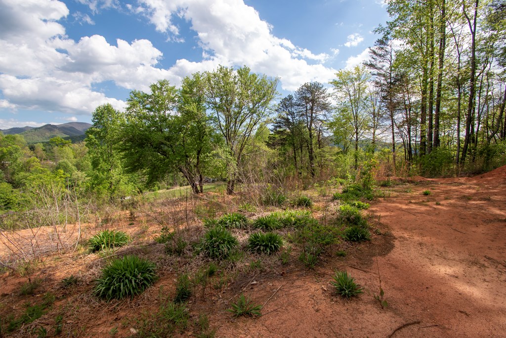 00 W VINEYARD ROAD, HAYESVILLE NC 28904