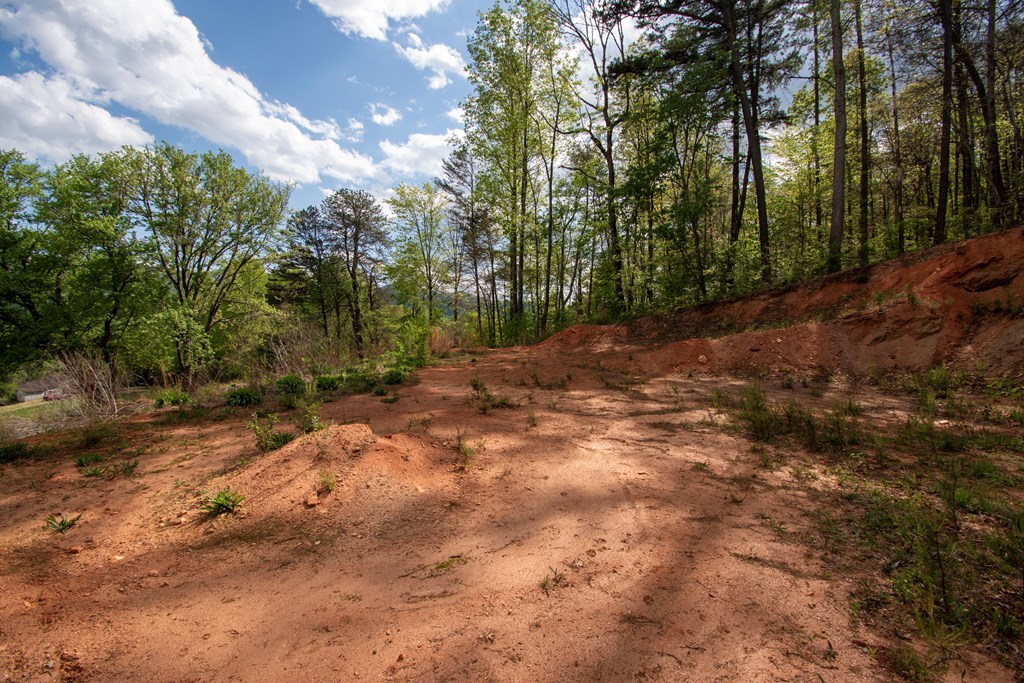 00 W VINEYARD ROAD, HAYESVILLE NC 28904
