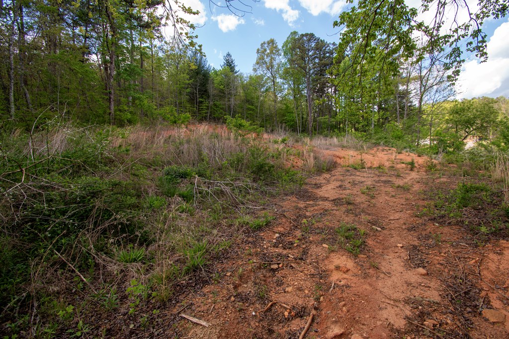 00 W VINEYARD ROAD, HAYESVILLE NC 28904