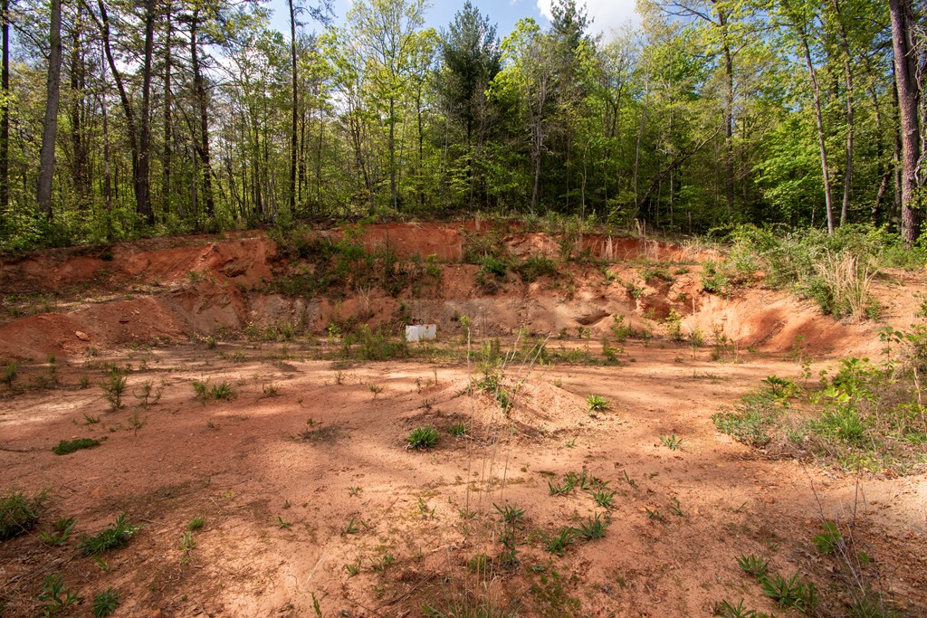 00 W VINEYARD ROAD, HAYESVILLE NC 28904