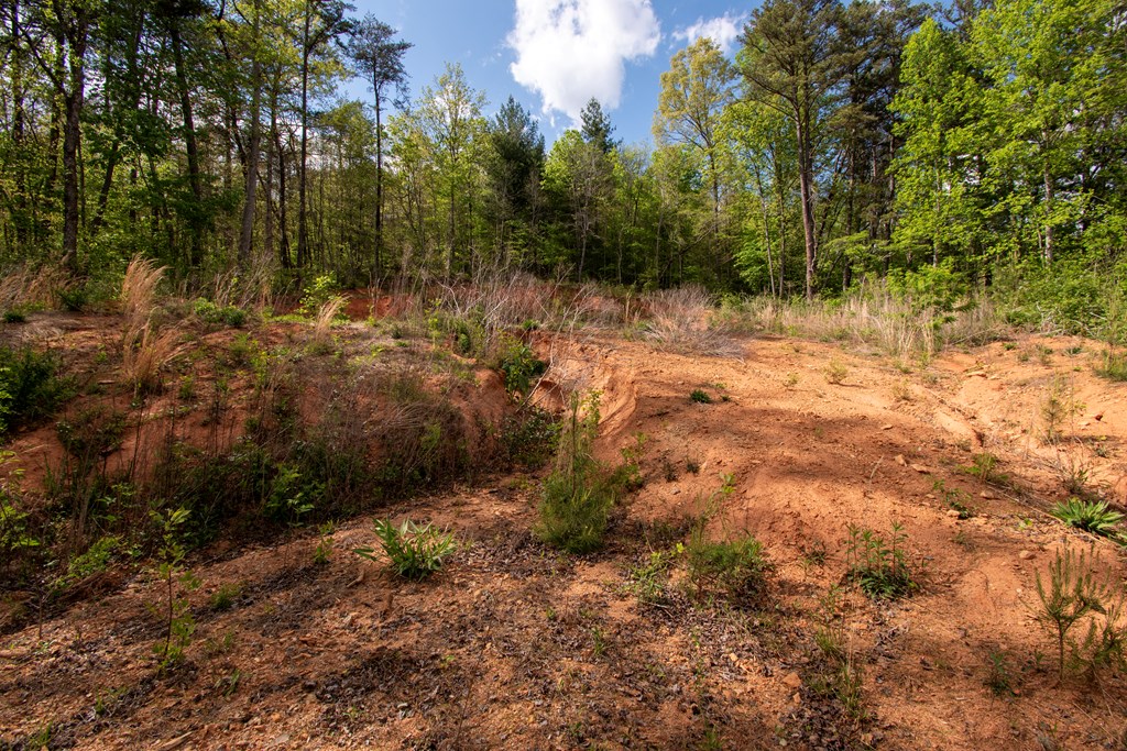00 W VINEYARD ROAD, HAYESVILLE NC 28904