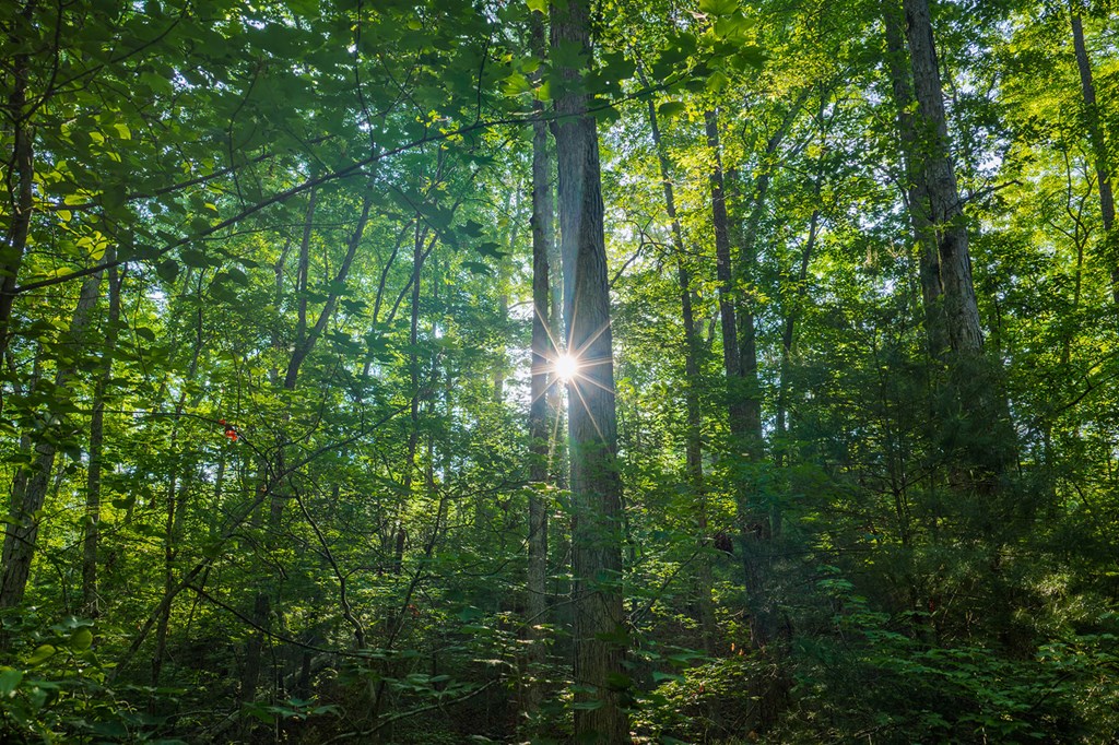LOT 179 CANOE POINT, ELLIJAY GA 30540