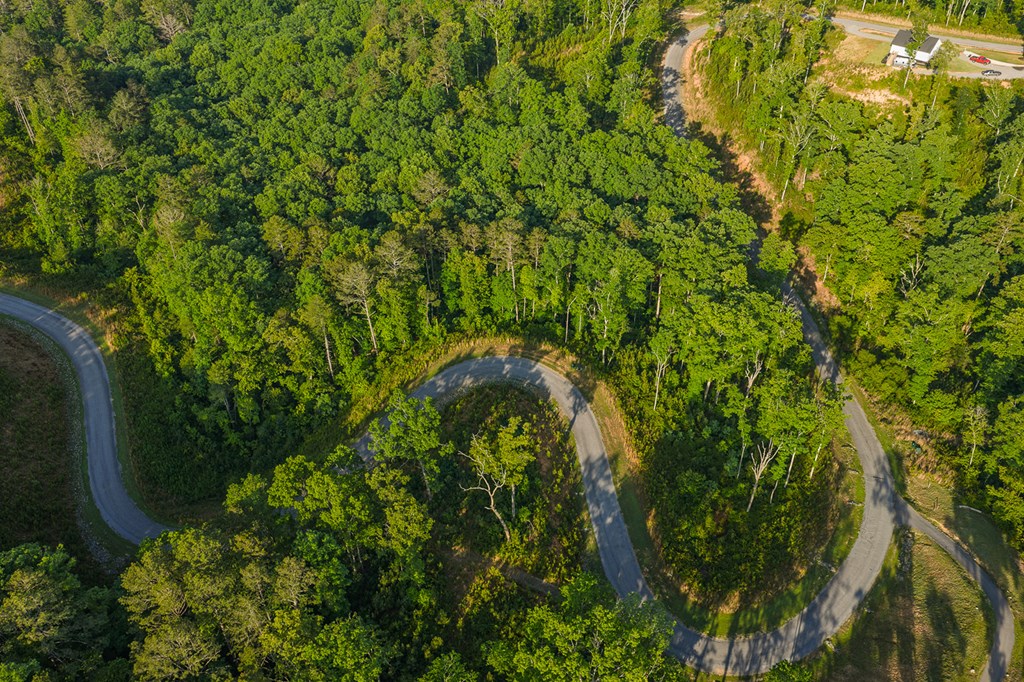 LOT 179 CANOE POINT, ELLIJAY GA 30540