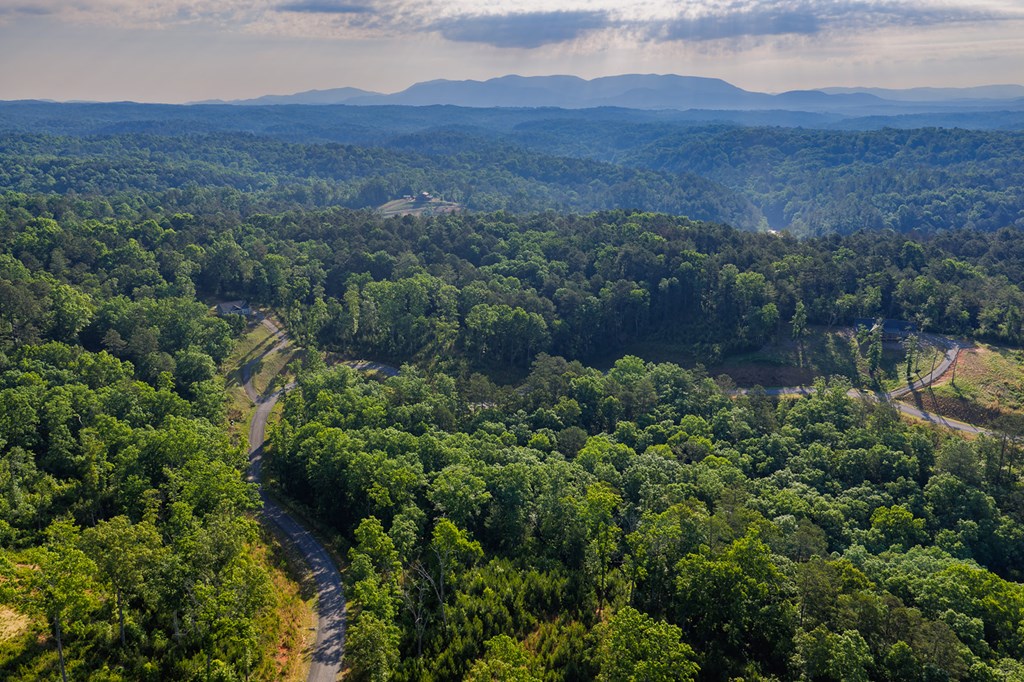 LOT 179 CANOE POINT, ELLIJAY GA 30540