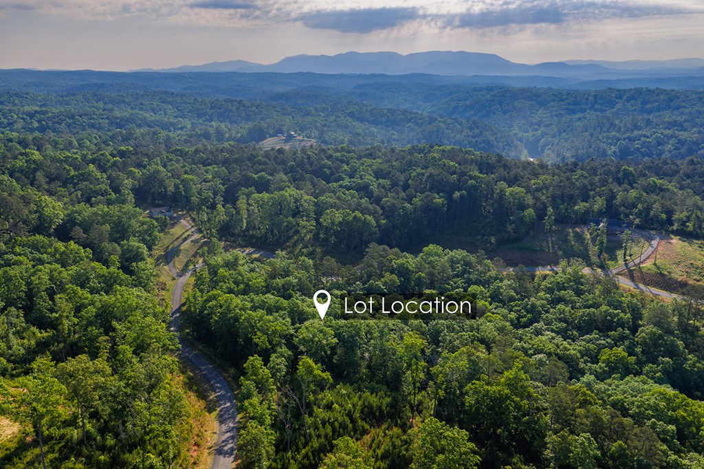 LOT 179 CANOE POINT, ELLIJAY GA 30540