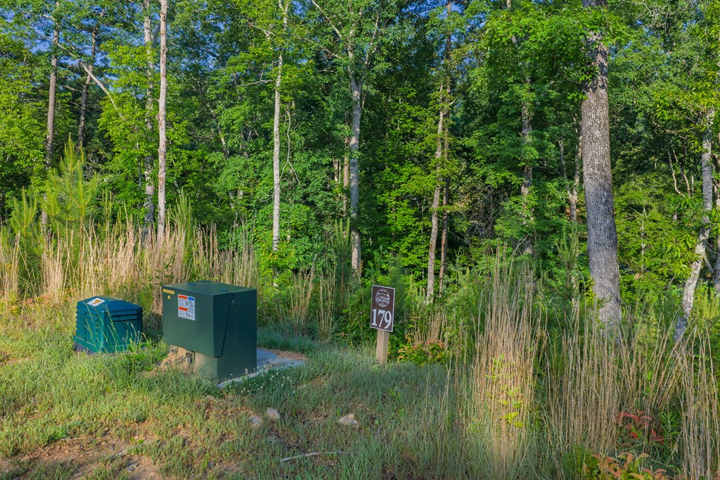 LOT 179 CANOE POINT, ELLIJAY GA 30540