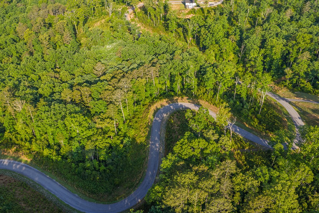 LOT 179 CANOE POINT, ELLIJAY GA 30540