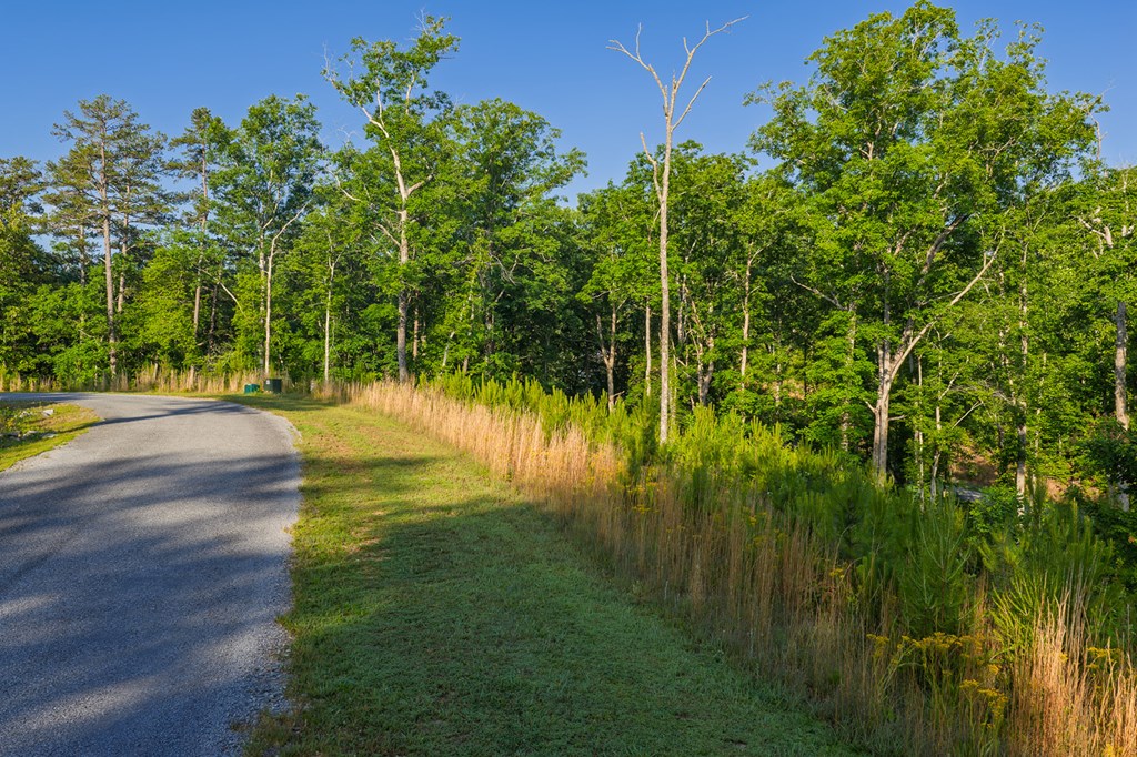 LOT 179 CANOE POINT, ELLIJAY GA 30540