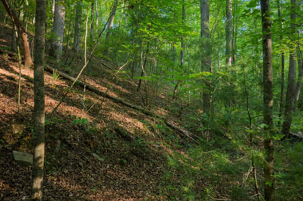 LOT 179 CANOE POINT, ELLIJAY GA 30540