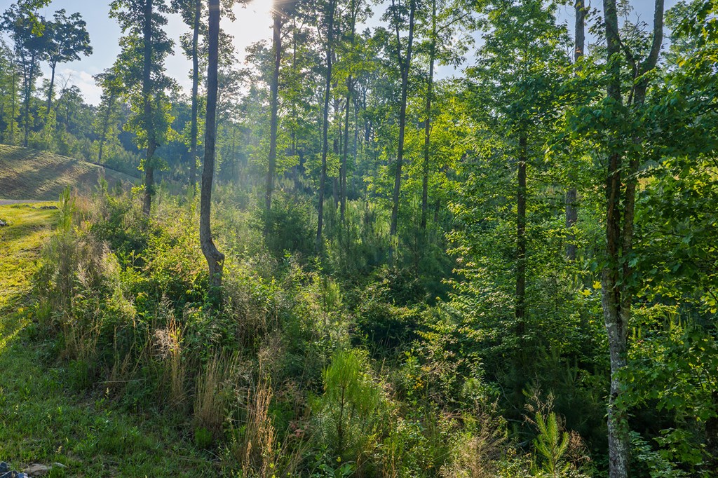 LOT 179 CANOE POINT, ELLIJAY GA 30540