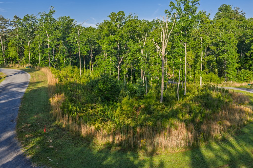 LOT 179 CANOE POINT, ELLIJAY GA 30540