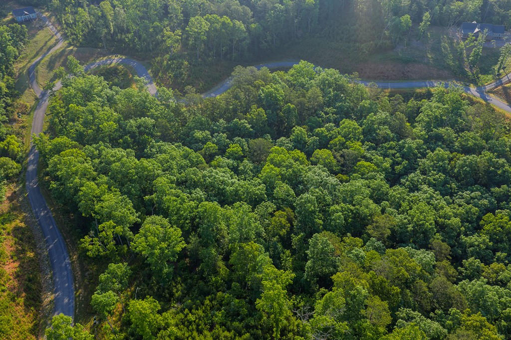 LOT 179 CANOE POINT, ELLIJAY GA 30540