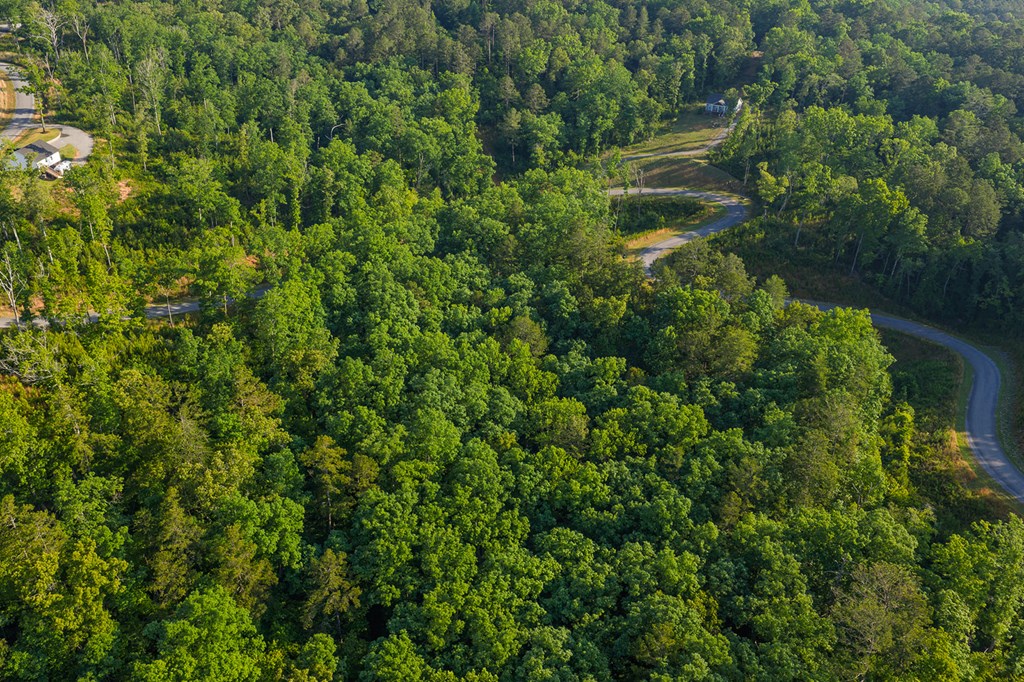 LOT 179 CANOE POINT, ELLIJAY GA 30540