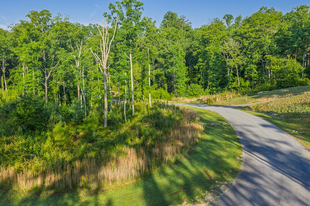 LOT 179 CANOE POINT, ELLIJAY GA 30540