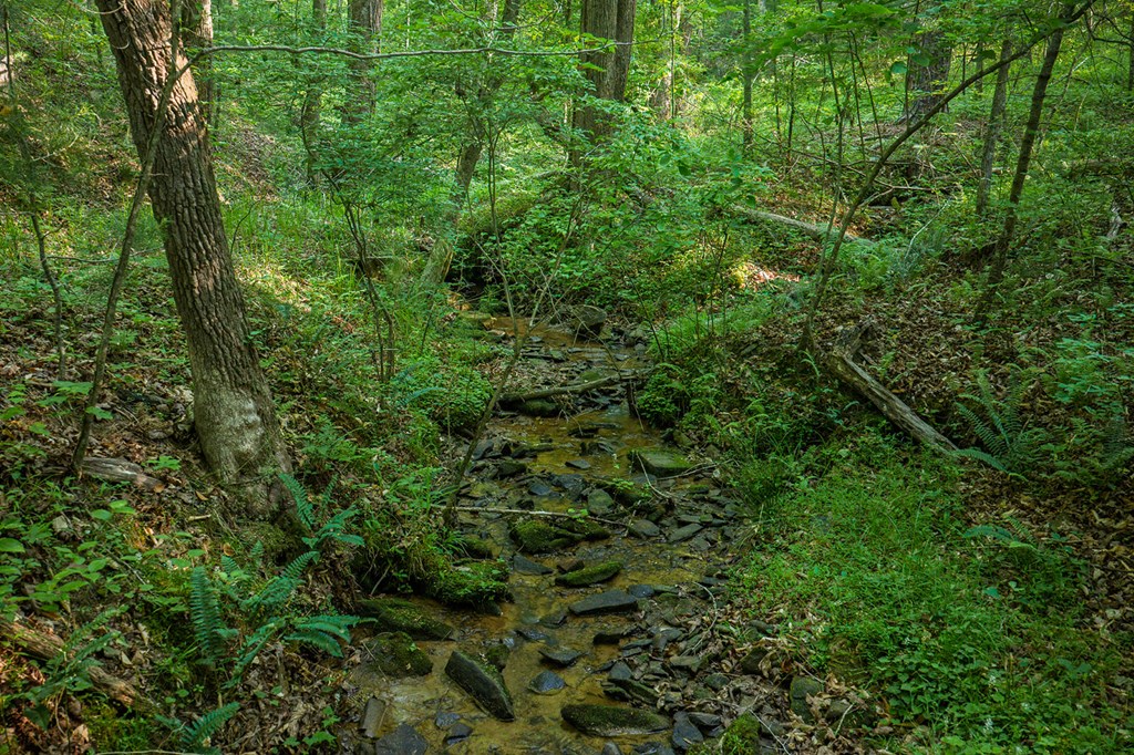 LOT 179 CANOE POINT, ELLIJAY GA 30540