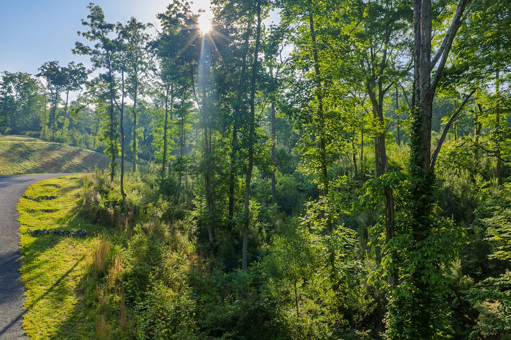 LOT 179 CANOE POINT, ELLIJAY GA 30540