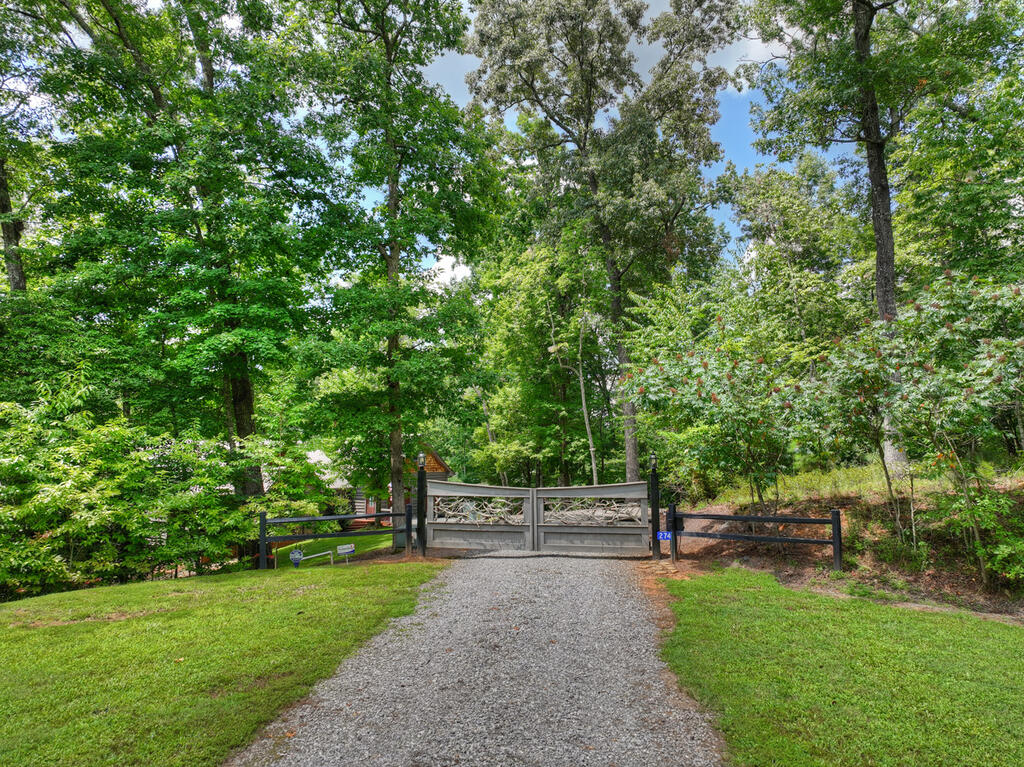 274 HOT HOUSE DRIVE, MINERAL BLUFF GA 30559