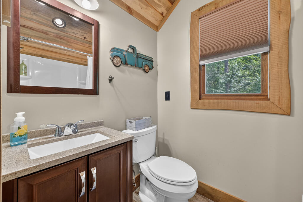 274 HOT HOUSE DRIVE, MINERAL BLUFF GA 30559