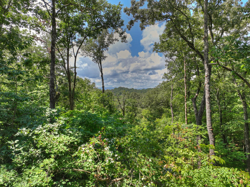 274 HOT HOUSE DRIVE, MINERAL BLUFF GA 30559