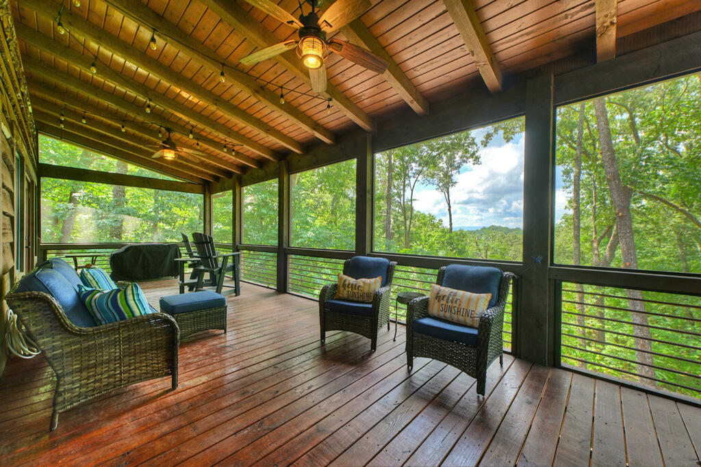 274 HOT HOUSE DRIVE, MINERAL BLUFF GA 30559