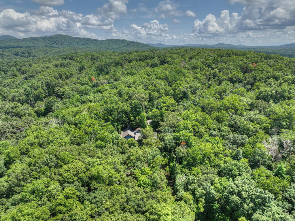 274 HOT HOUSE DRIVE, MINERAL BLUFF GA 30559