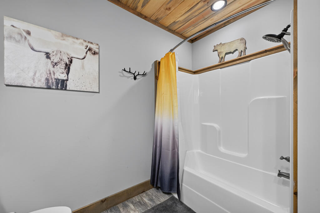 274 HOT HOUSE DRIVE, MINERAL BLUFF GA 30559