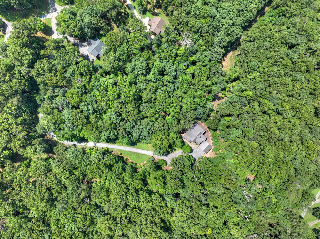 274 HOT HOUSE DRIVE, MINERAL BLUFF GA 30559