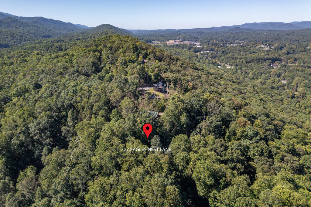 327 EAGLES NEST LANE, BLUE RIDGE GA 30513