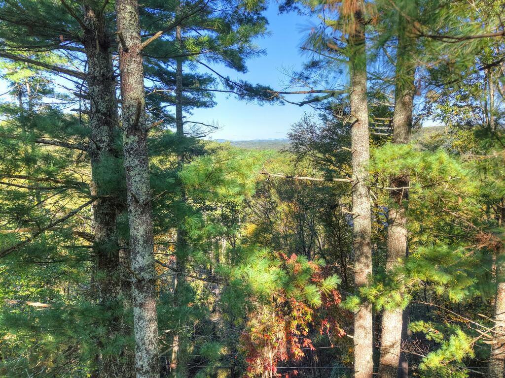 LOT 123 BELL CAMP RIDGE RD, BLUE RIDGE GA 30513