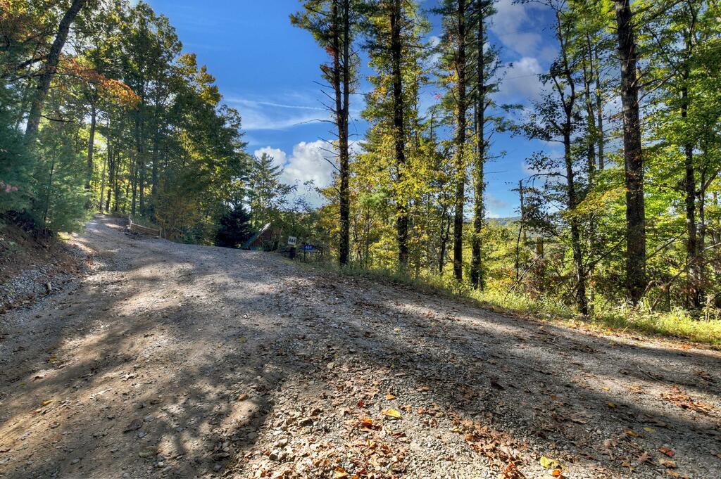 LOT 123 BELL CAMP RIDGE RD, BLUE RIDGE GA 30513