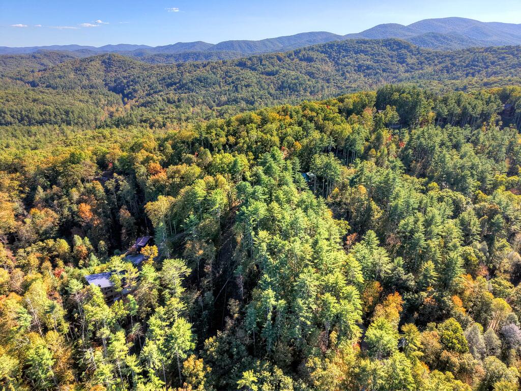 LOT 123 BELL CAMP RIDGE RD, BLUE RIDGE GA 30513