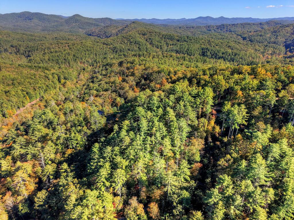LOT 123 BELL CAMP RIDGE RD, BLUE RIDGE GA 30513