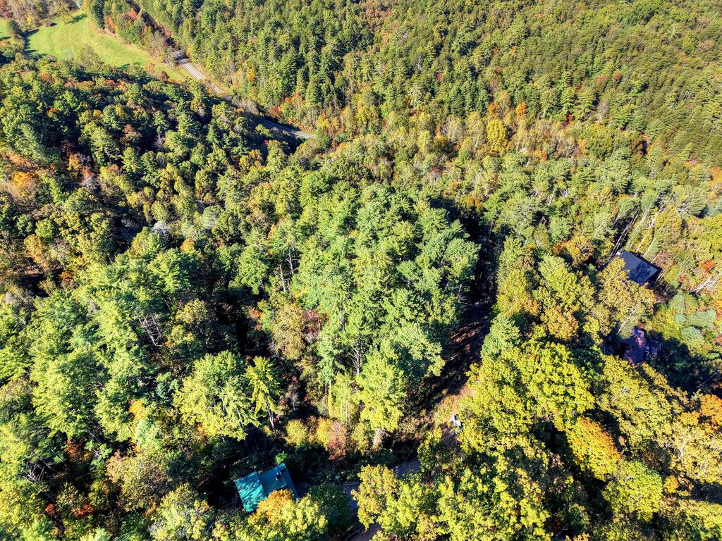 LOT 123 BELL CAMP RIDGE RD, BLUE RIDGE GA 30513