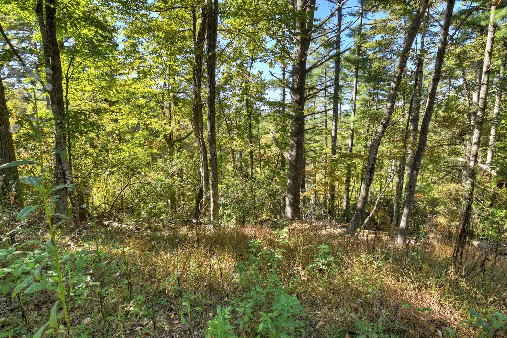 LOT 123 BELL CAMP RIDGE RD, BLUE RIDGE GA 30513
