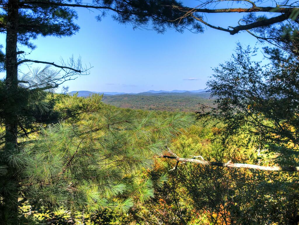 LOT 123 BELL CAMP RIDGE RD, BLUE RIDGE GA 30513