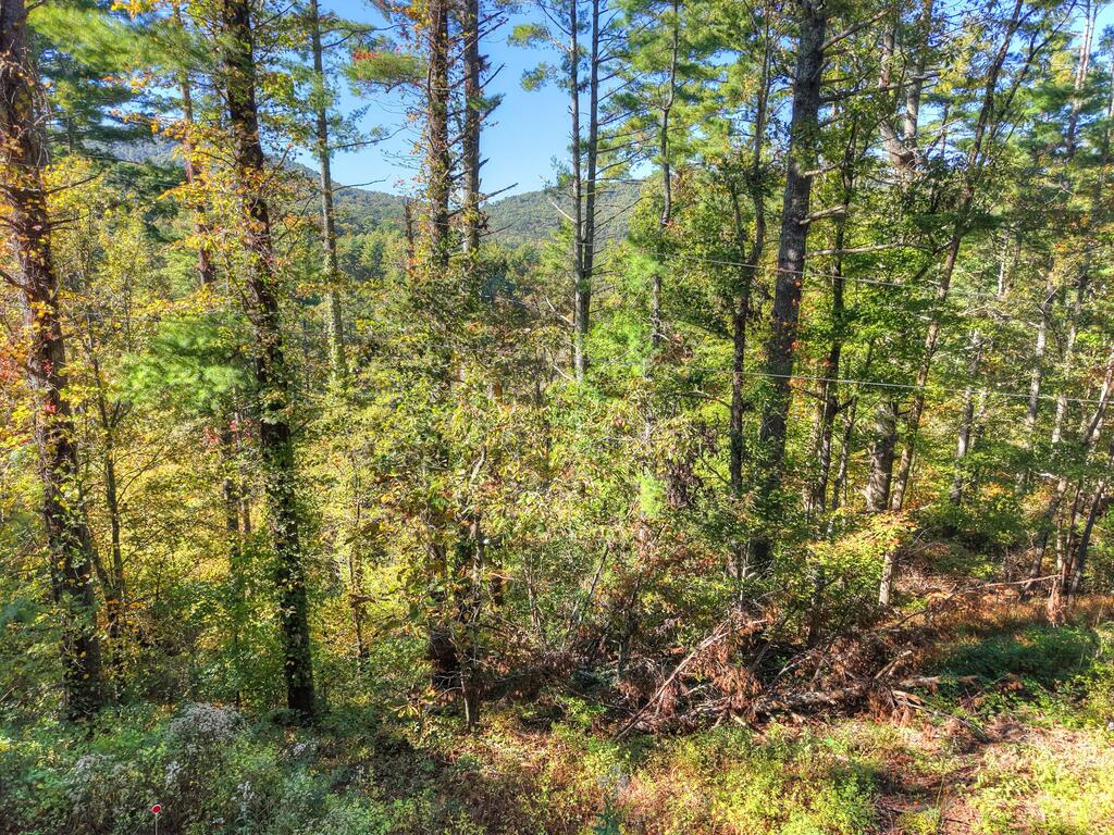 LOT 123 BELL CAMP RIDGE RD, BLUE RIDGE GA 30513