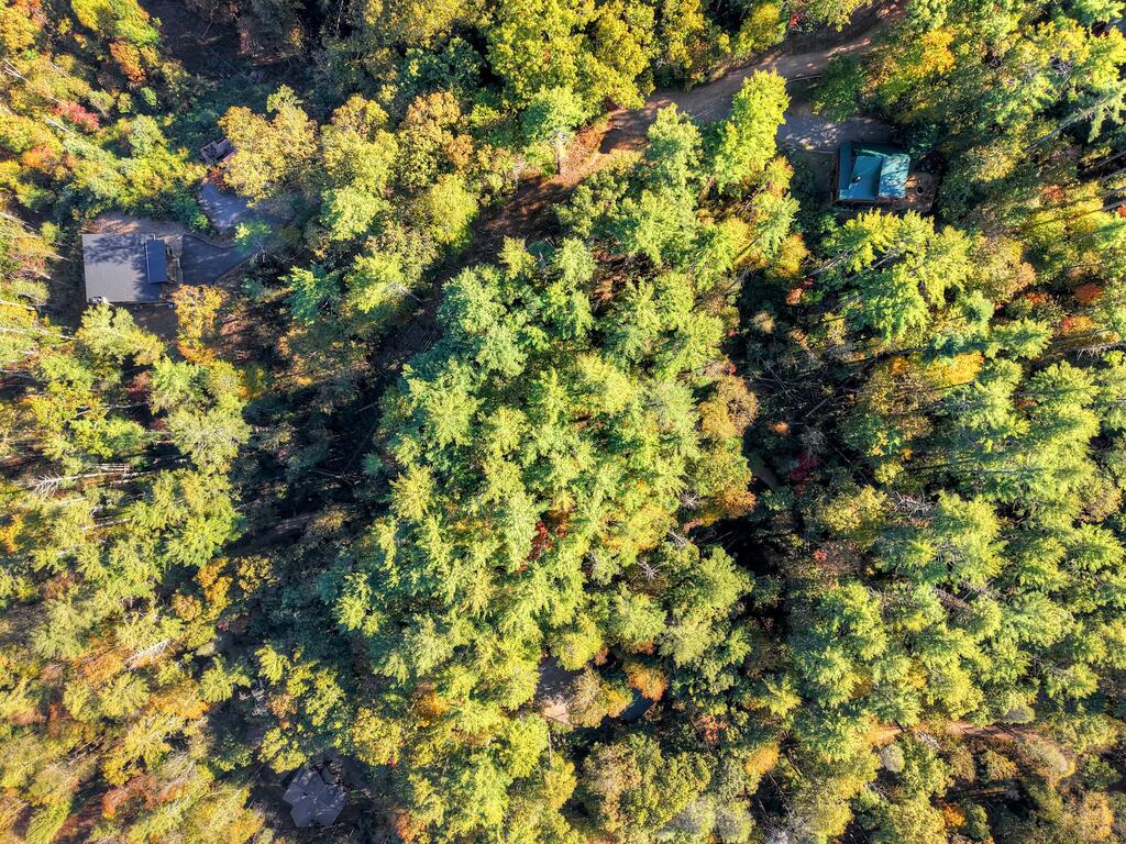 LOT 123 BELL CAMP RIDGE RD, BLUE RIDGE GA 30513