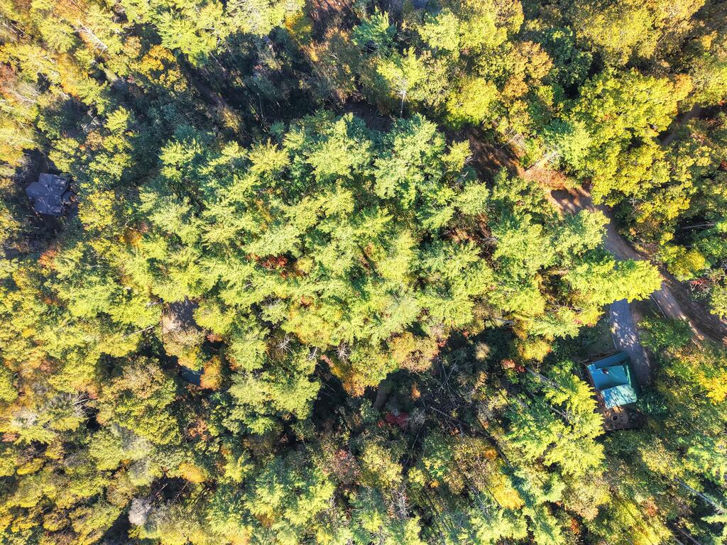 LOT 123 BELL CAMP RIDGE RD, BLUE RIDGE GA 30513