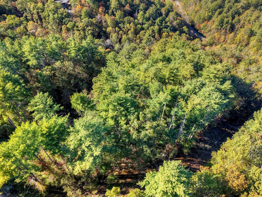 LOT 123 BELL CAMP RIDGE RD, BLUE RIDGE GA 30513