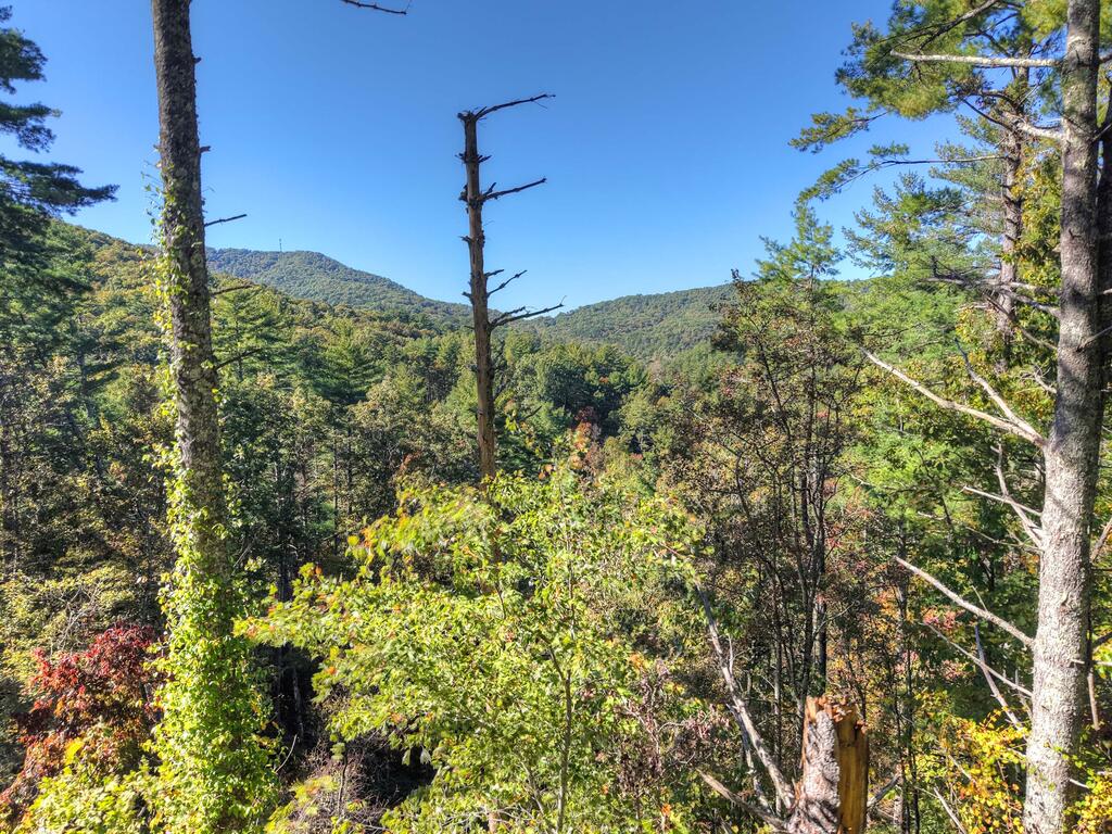 LOT 123 BELL CAMP RIDGE RD, BLUE RIDGE GA 30513