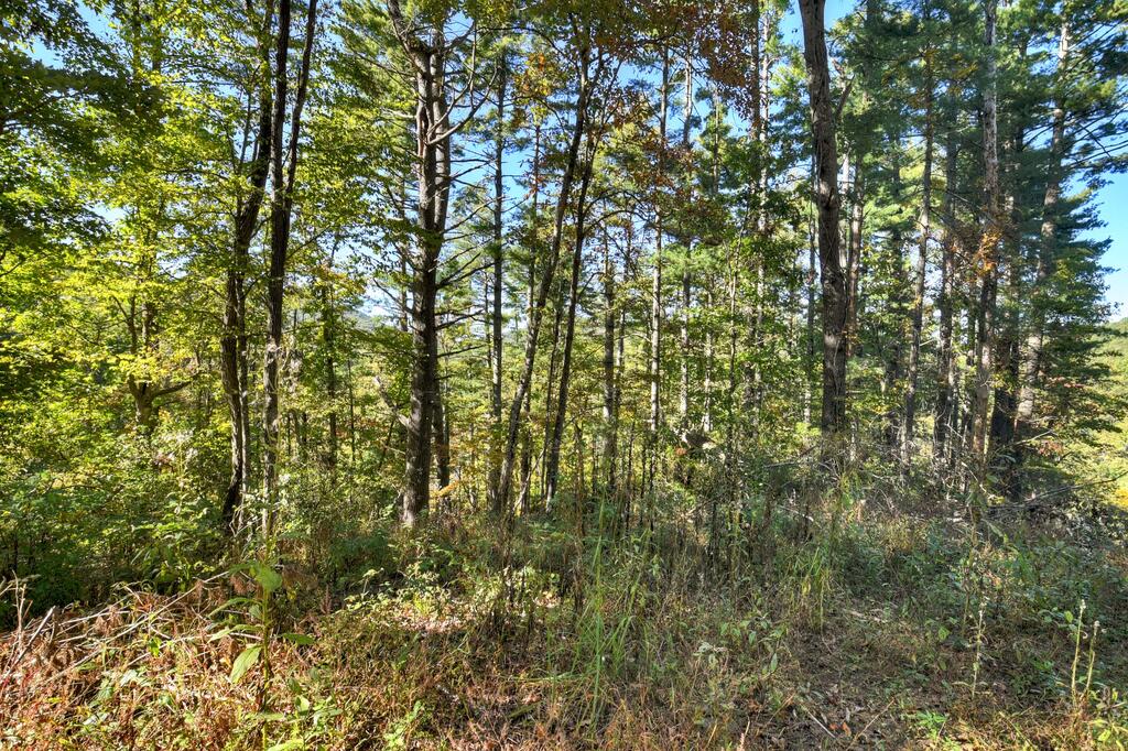 LOT 123 BELL CAMP RIDGE RD, BLUE RIDGE GA 30513