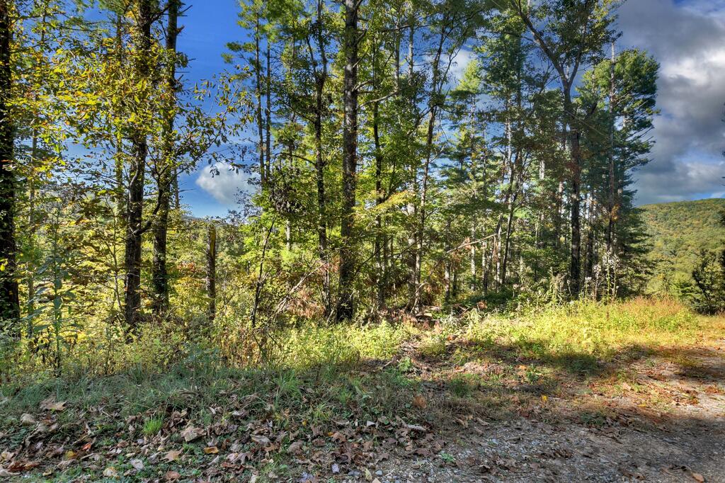 LOT 123 BELL CAMP RIDGE RD, BLUE RIDGE GA 30513
