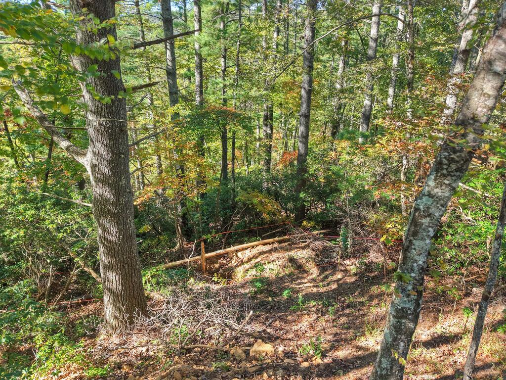 LOT 123 BELL CAMP RIDGE RD, BLUE RIDGE GA 30513