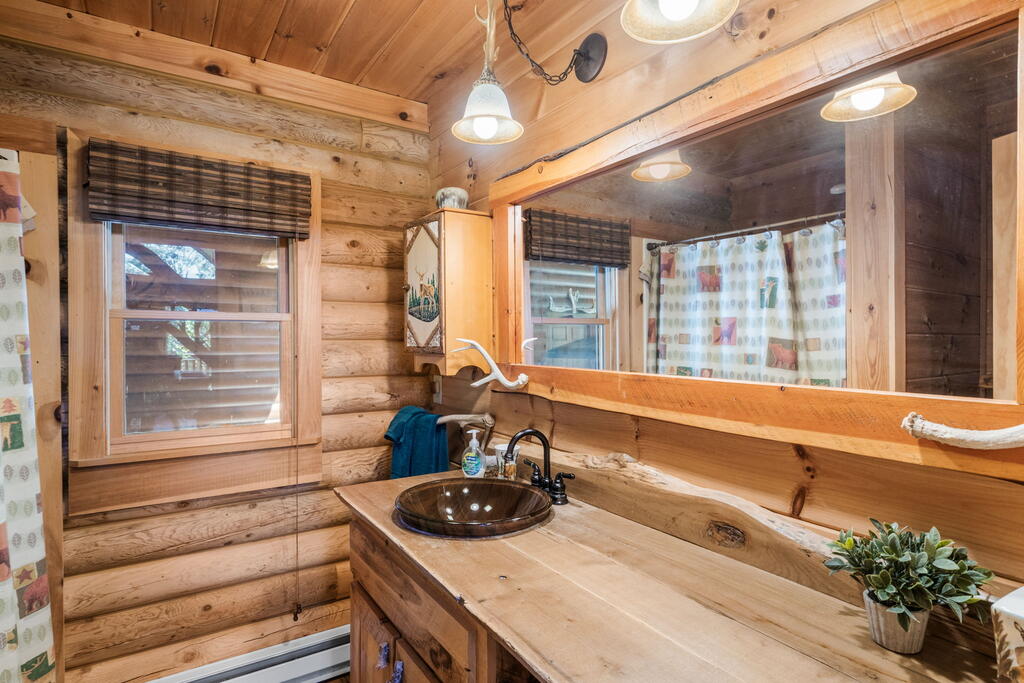 278 ARAPAHO WALK, MINERAL BLUFF GA 30559