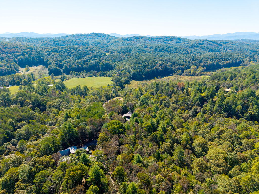 278 ARAPAHO WALK, MINERAL BLUFF GA 30559