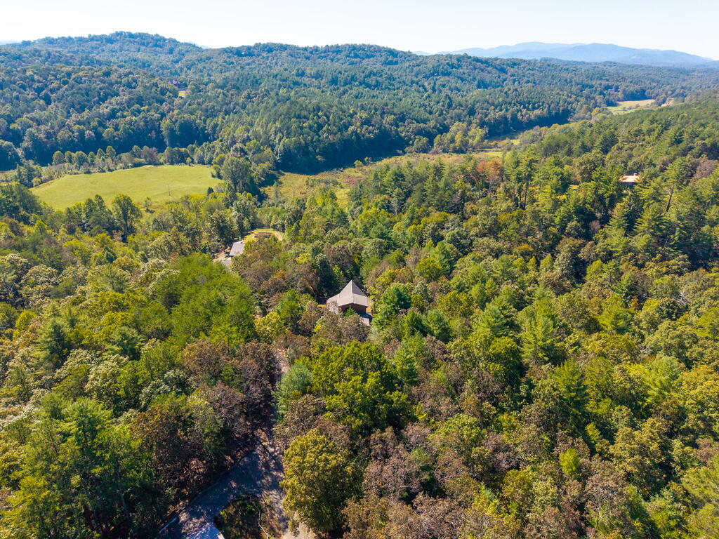 278 ARAPAHO WALK, MINERAL BLUFF GA 30559