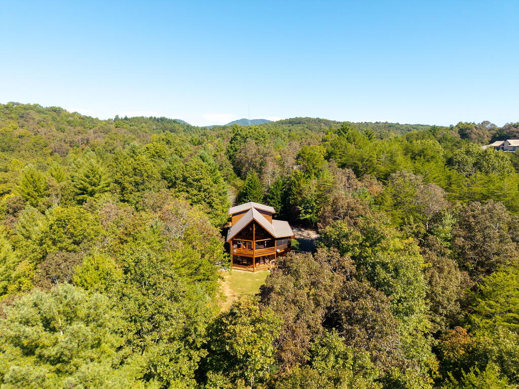 278 ARAPAHO WALK, MINERAL BLUFF GA 30559